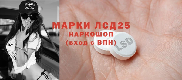 ПСИЛОЦИБИНОВЫЕ ГРИБЫ Алзамай