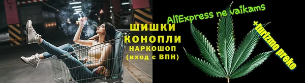 ПСИЛОЦИБИНОВЫЕ ГРИБЫ Алзамай